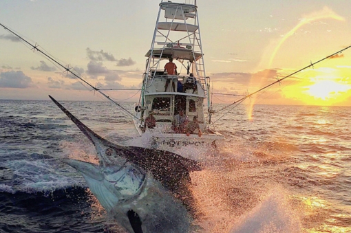 Hot Shot Charters